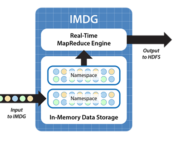 Fig50_real_time_mr